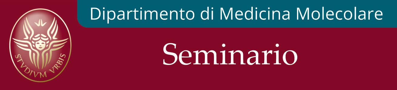 Immagine Seminario